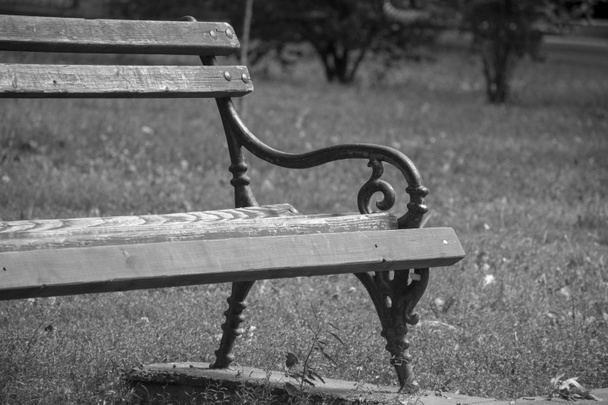 Bench egy parkban - fekete-fehér - Fotó, kép