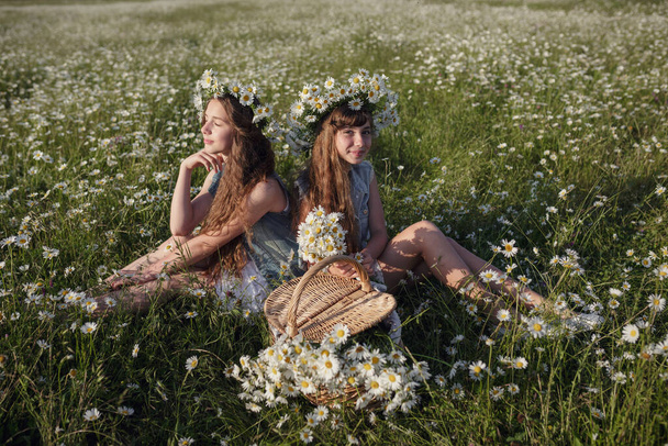 deux jolies adolescentes en denim avec de beaux cheveux bruns longs et sains dans un champ de marguerites. idée et concept de santé, enfance heureuse, amitié
 - Photo, image