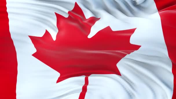 Canada flag waving in the wind with highly detailed fabric texture. Seamless loop - Footage, Video