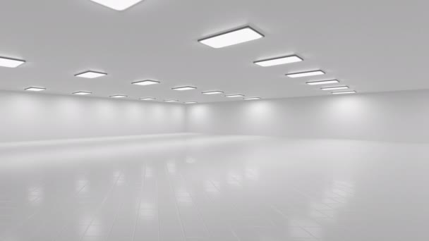Huge bright warehouse building. Large storage space for various things. - Footage, Video