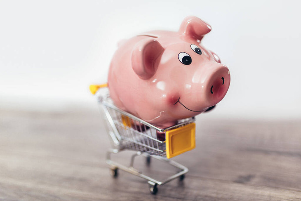 Shopping and save money concept. Shopping cart and piggy bank - Fotoğraf, Görsel