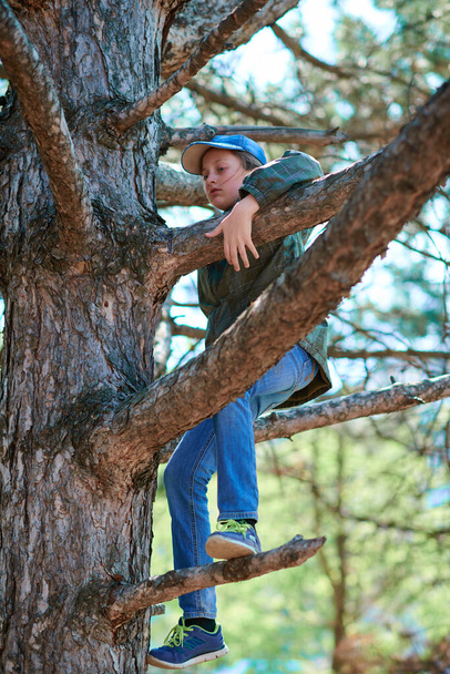 Child girl climbing in a tree, bright sunlight, beautiful day - Valokuva, kuva