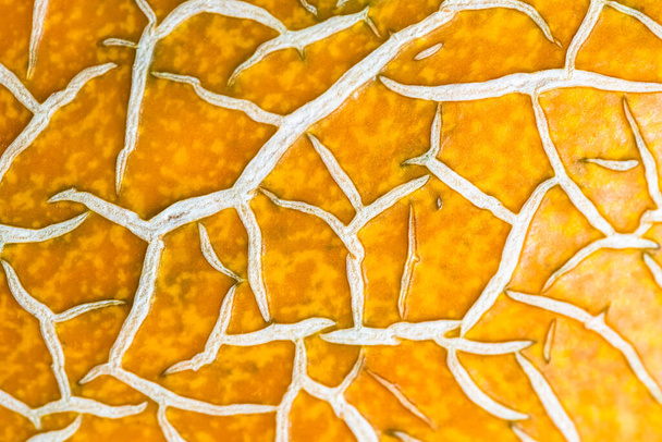 peel of ripe melon, yellow orange peel of ripe melon closeup, abstract background. - Фото, зображення