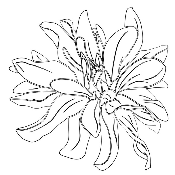 Hand drawn dahlia silhouette - Vecteur, image