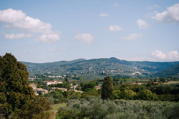 Вид на ряды оливковых деревьев с виллы Медичи винодельческого хозяйства Лиллиано в Тоскане, Италия
. - Фото, изображение
