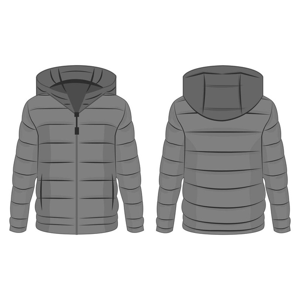 Grey winter down zipped jacket with hood isolated vector on the white background - Vector, Image