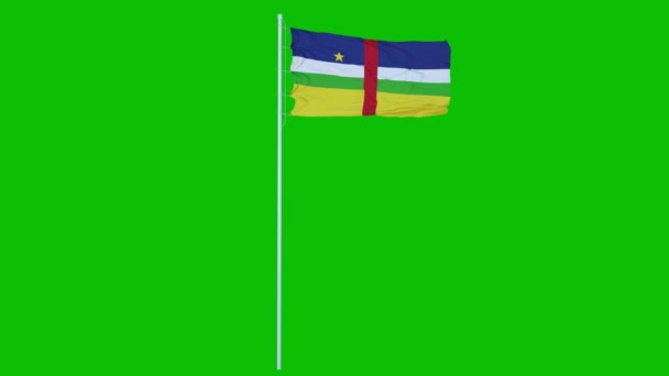 Centraal-Afrikaanse Republiek vlag zwaaien op wind op groen scherm of chroma key achtergrond. 3d destructie - Video