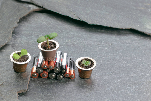 Formazione di pali con piccoli vasi con piante su di essi
 - Foto, immagini