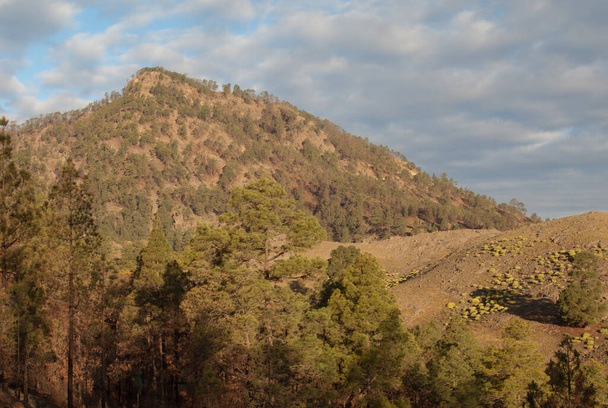 Der Alsandara-Berg im Naturschutzgebiet von Inagua. - Foto, Bild