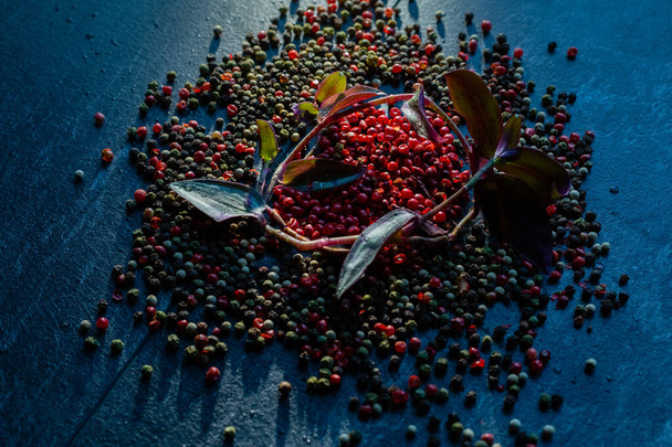 Een krans van bladeren van een plant tussen vijf paprika 's, in een rode peper op een donkere achtergrond - Foto, afbeelding