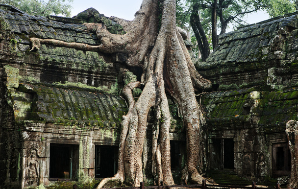 Angkor VAT. - Zdjęcie, obraz