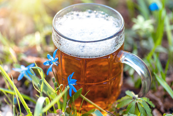 Cerveja e flor azul primavera, gotas de neve Scilla Squill. Natureza fundo
 - Foto, Imagem