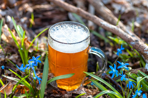 Cerveja e flor azul primavera, gotas de neve Scilla Squill. Natureza fundo
 - Foto, Imagem