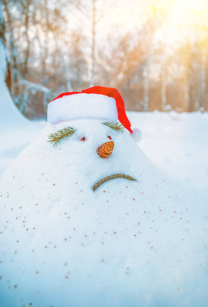 Trieste sneeuwdrift, een sneeuwpop, in afwachting van de lente in het bos, is op zoek als warme stralen worden geselecteerd voor hem. Sneeuwvlok in de vorm van een droevig gezicht Sneeuwman wacht tot hij in het voorjaar verdwijnt - Foto, afbeelding