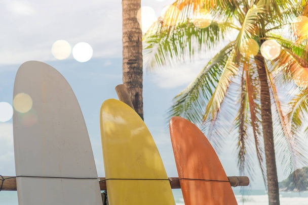 Veel surfplanken naast kokosbomen aan het zomerstrand met zonlicht en blauwe lucht achtergrond. - Foto, afbeelding