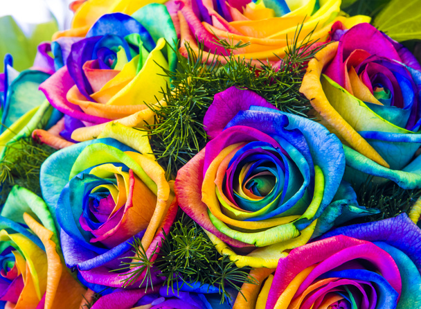 flores multicoloridas, rosas símbolo de amor, para sua alegria, sua felicidade, para seus direitos
 - Foto, Imagem