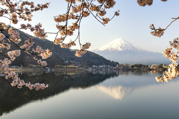 Fuji hegyi reflexió és Sakura ágak tavasszal a Kawaguchiko tónál, Japánban - Fotó, kép