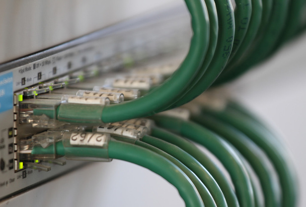 patch panel cables for connecting to broadband internet - Photo, Image