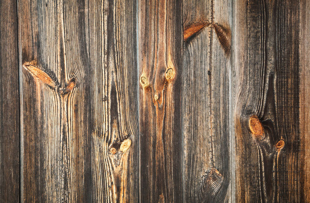 Creative image of wood texture with natural pattern. Abstract background, blank template. Retro style - Фото, зображення