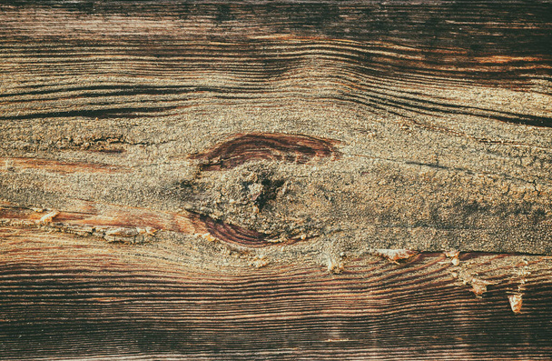 Creative image of wood texture with natural pattern. Abstract background, blank template. Retro style - Foto, Imagem