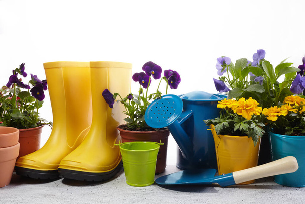Gardening tools, flowers and watering can on white. Spring garden works concept. - Фото, изображение