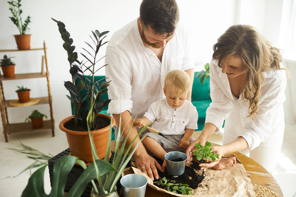 Happy family working at home. Transplanting plants with their child - Foto, Imagem