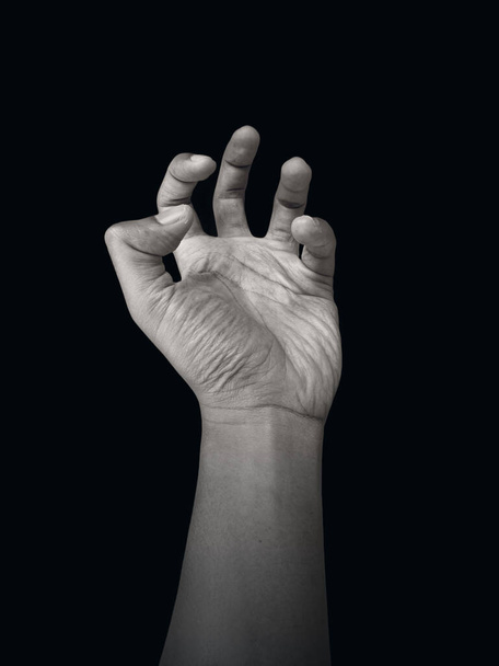 Zombie hand, dead man, resurrected from the grave - Valokuva, kuva