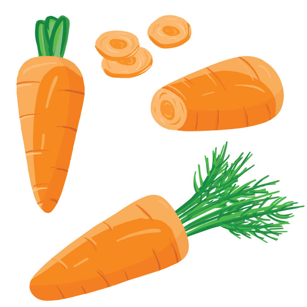 La serie con carota fresca - con verdi, affettati, fette. Vettore in stile realistico cartone animato. Ingrediente per insalata, zuppa. Verdure saporite. Concetto di agricoltura, raccolta, coltivazione, ecologico OGM free
 - Vettoriali, immagini