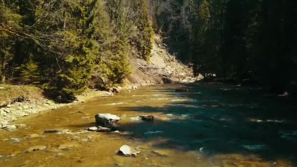 Hegyi fenyő folyó repülés drón folyó felett szárnyal a hegyi víz felett - Felvétel, videó