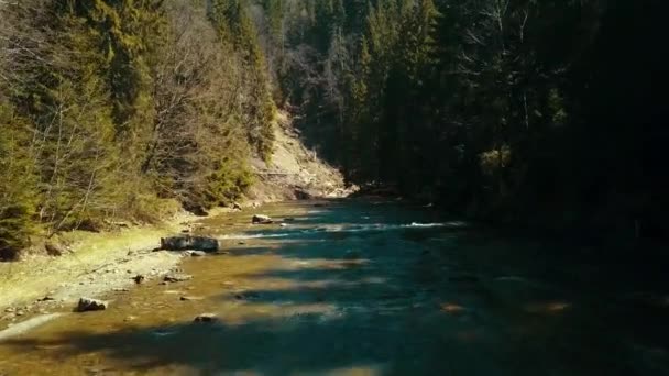 Pino di montagna volo sul fiume drone vola sopra l'acqua di montagna
 - Filmati, video