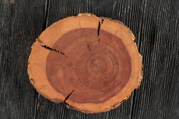 Corte redondo de árbol sobre fondo de madera oscura
 - Foto, imagen