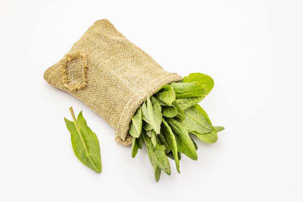 Fresh green sorrel isolated on white background. A bag of vintage fabric, patch on it. Traditional ingredient for spring soup - Photo, Image