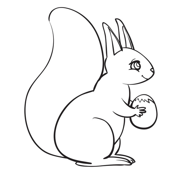 squirrel sits and holds a nut in his hands, outline drawing, coloring, isolated object on a white background, vector illustration, - Vector, afbeelding