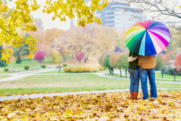 Rear view of man holding umbrella while enjoying the lovely view with his wife in park - Foto, Imagen
