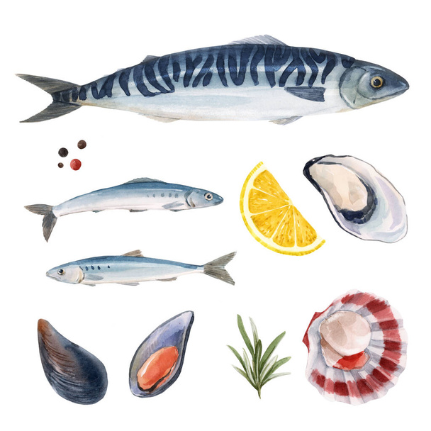 水彩画の手描きの海の生き物サバとニシンの魚と美しいセット。ストックイラスト - 写真・画像