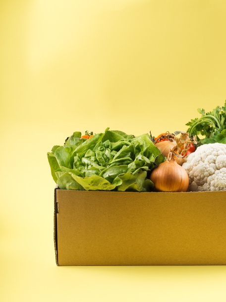 Концепция коробки для доставки продуктов питания, продуктов питания или пожертвований
 - Фото, изображение