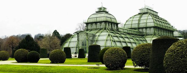 オーストリア、ウィーンの屋外植物ヤシハウス建築と芝生のフィールドツリーのパノラマ風景 - 写真・画像