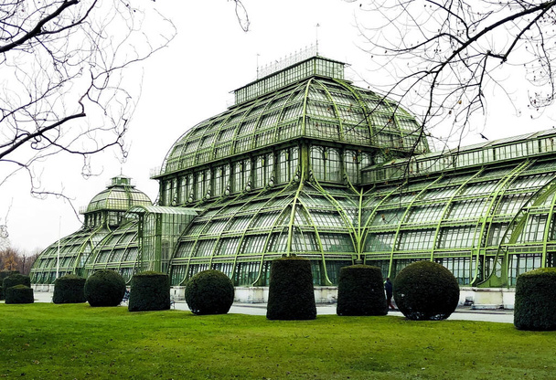 Paisaje de la arquitectura botánica de la palmera y el campo de hierba al aire libre en Viena, Austria
 - Foto, imagen