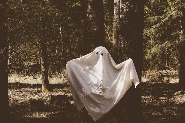 Vznášející se duch v bílém plášti v začarovaném lese - Fotografie, Obrázek