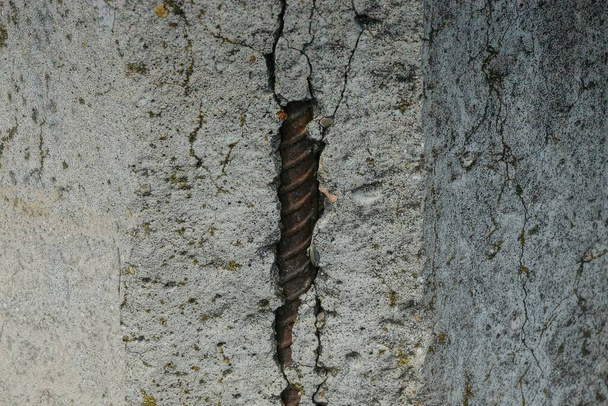 gray broken concrete wall with brown rusty iron reinforcement - Fotoğraf, Görsel