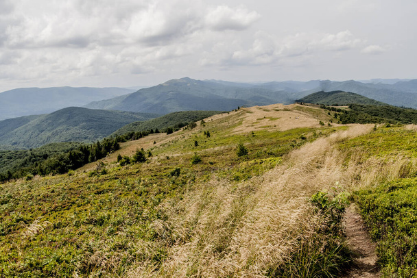 Road from Wideki through Bukowe Berdo and Tarnica to Woosate in Bieszczady Mountains in Poland - Photo, Image