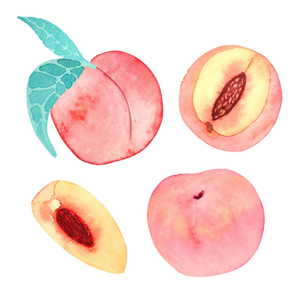 Handgezeichnetes Aquarell mit Pfirsichen isoliert auf weißem Hintergrund. Großer Pfirsich mit Blättern, großer rosa Pfirsich, Pfirsichviertel, Pfirsich mit einem Stein. - Foto, Bild