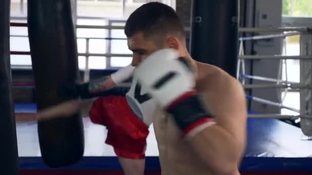 Two Professional Boxers Fiercely Punches and Kicks Punching Bags Near Boxing ring at Gym. Muay Thai Mixed Martial Arts Fighters Practicing Workout. 2x Slow motion 1/2 speed 60 fps 4K - Filmagem, Vídeo