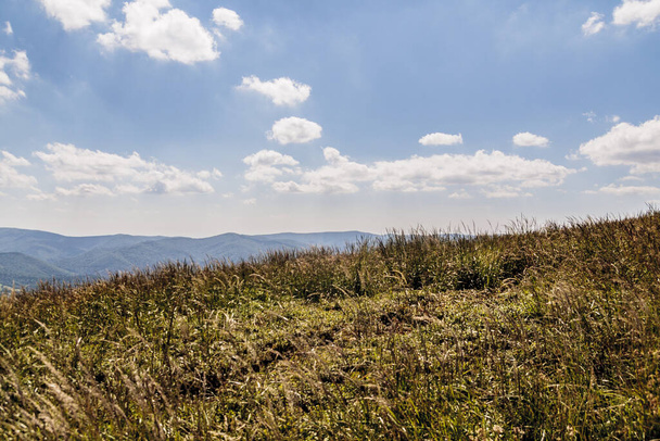 Cesta z průsmyku Mieczysaw Orlowicz na Smerek Peak v polských Bieszczadech - Fotografie, Obrázek