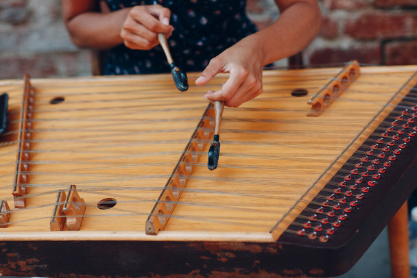 Музыкант играет на венецианском струнном инструменте
 - Фото, изображение