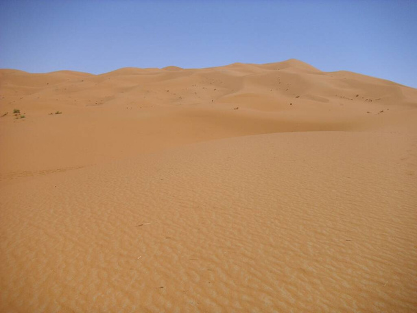 пустеля пустеля пустеля пісок дюн Сахара
 - Фото, зображення