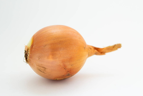 onion on a white background - Фото, изображение