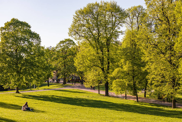 Voorjaarszicht in Letna Park, Praag, Tsjechië. Lente in Praag (Praha), prachtig Letna park (Letenske sady) in zonlicht, zonnig landschap, populaire toeristische bestemming, Praag, Tsjechië - Foto, afbeelding