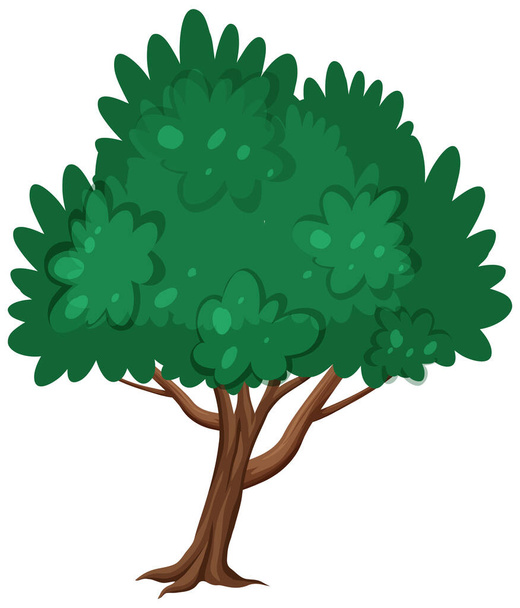 Jeden velký strom na bílém pozadí ilustrace - Vektor, obrázek