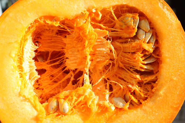 piece of a hokkaido pumpkin - Photo, image